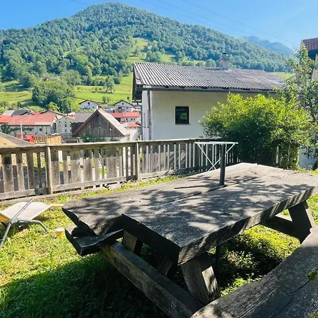 Taras Guest Tolmin