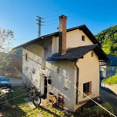 Taras Guest * Tolmin